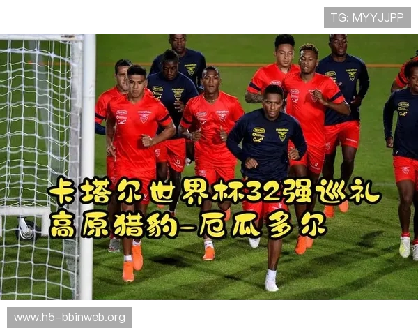 厄瓜多尔与德国比赛晋级规则解析,掌握世界杯晋级资格的详细流程 厄瓜多尔与德国比赛晋级规则解析,掌握世界杯晋级资格的详细流程